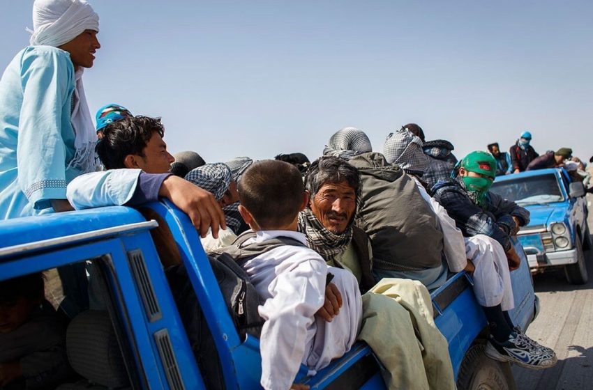  IOM says, Over 1.2 Million Afghan Refugees Deported From Iran in 2024
