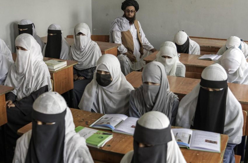  Afghan women launch education campaign against Taliban’s education ban