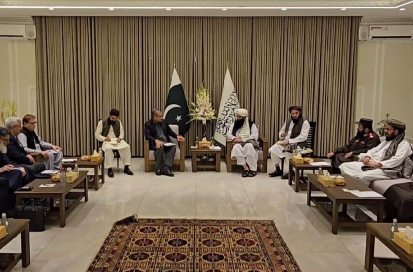  Mohsin Naqvi: Counterterrorism Efforts Require Joint Cooperation Between Afghanistan and Pakistan