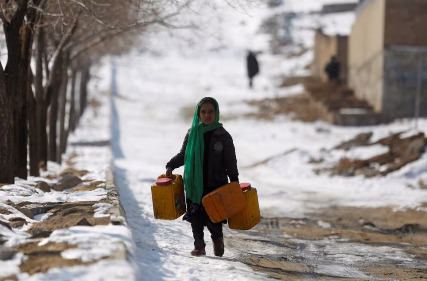  Millions at Risk as Cold Wave Threatens Vulnerable Afghan Communities: WFP and REACH
