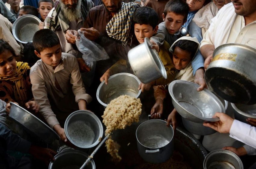  WFP: Hunger Threatens Millions in Afghanistan