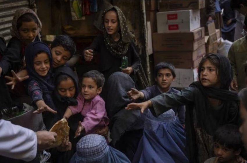  World Food Day; Afghan Women and Children Face Hunger and Deepening Poverty