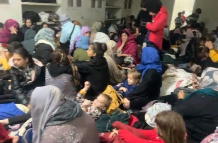  Refugee Rights Watch Global: Afghan Refugee Families Face Violent Evictions in Islamabad