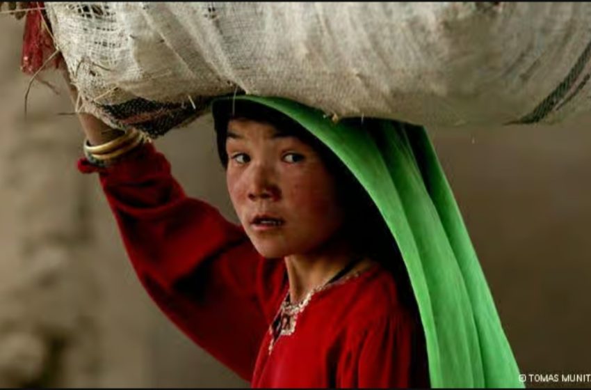  UN Women: Women-Led Groups in Afghanistan Need More Support