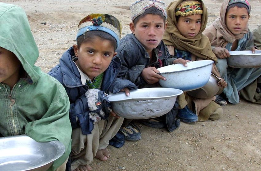  WFP: Millions in Afghanistan Face Severe Malnutrition Risk