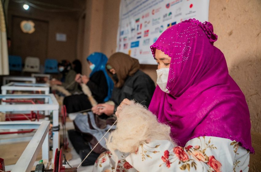  EU: Afghan Women Bear the Heaviest Burden of Poverty